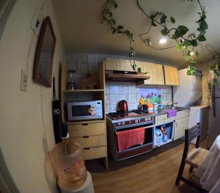 Neighbor of Frida Khalo, vintage stay in Coyoacán - Città del Messico - 4