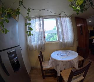 Neighbor of Frida Khalo, vintage stay in Coyoacán - Città del Messico - 7