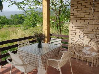 Green Cottage - Podgorica - 7