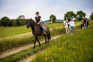 Hof Köhne - Altes Bauernhaus - Wohnung Pony - 6