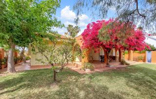 Casa Buganvilla - Sagunto - 1