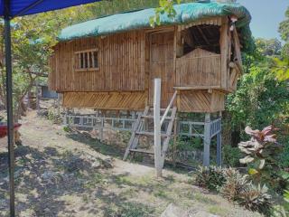 Bon Joy's Transient House - Mabini - 9