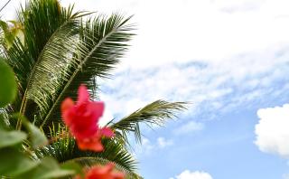 Ripbowl Guest House - Selong Belanak - 6