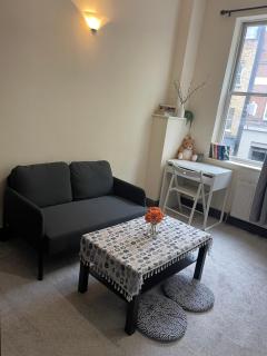 Cosy Apartment in Kings Cross London - London - 7