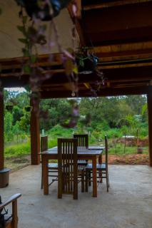 Lion Wood Treehouse - 1