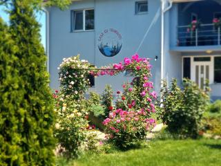 Casa cu Trandafiri Murighiol - 4