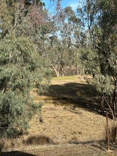 Kismet Riverside Lodge - Howlong - 3