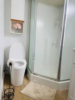 Newly renovated, laundry, separate entrance - Richmond Hill - 2