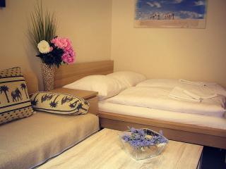 Penzion Marriot - Trnava - 7