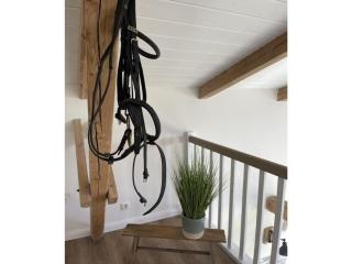 Spacious apartment with balcony - Kronsgaard - 5