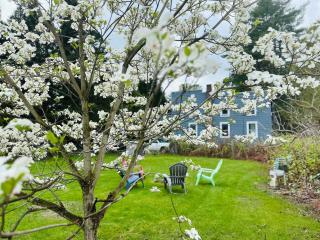 Cozy Riverfront Cottage with dock close to Lake George - Corinth - 8