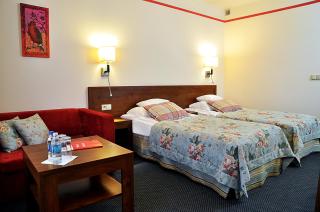 Ahotel - Czechowice-Dziedzice - 8