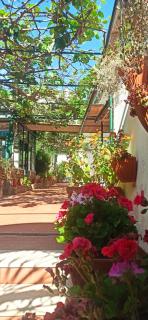 Villa dei fiori B&B - Capri - 5