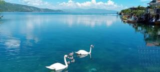 Rosas Home - Pogradec - 9