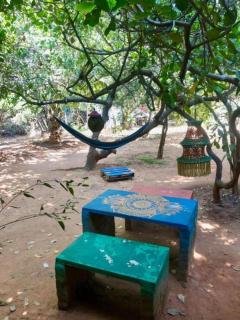 Travellers Crib - Auroville - 4