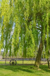 B&B il mio Casale - Colà di Lazise - 8