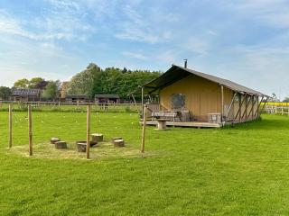 Muntjac - Uk47396 - Bawdeswell - 9