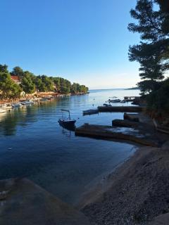 Dragana - Basina - 0