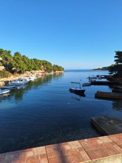 Dragana - Basina - 1