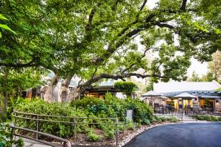 Appellation Lodi - Wine & Roses Resort and Spa - 1