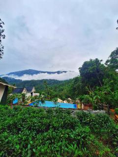 Chalona Hill View - Munnar - 7