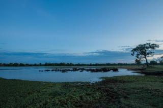 Tranquil Wild - Tanamalwila - 8