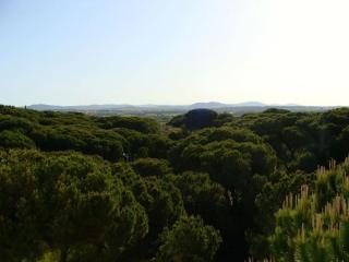 Calm Sunny Apartment near Falésia Beach - Albufeira - 7