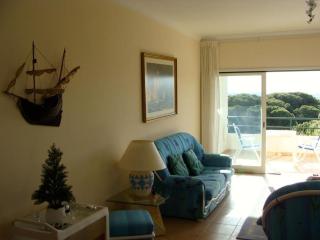 Calm Sunny Apartment near Falésia Beach - Albufeira - 1