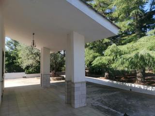 villetta immersa nel verde - Monopoli - 4