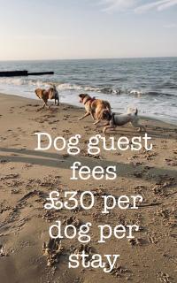 Coastal Terrace Dogs Welcome optional Hot Tub - 8