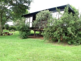 Midlands Forest Lodge - 8