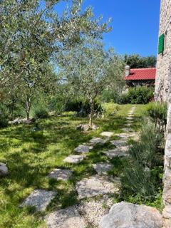 Villa Ana with jacuzzi & swimming pool - Cres - 9