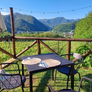 Agriturismo Tenuta La Fratta - Bagni di Lucca - 1