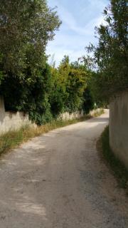 Bastidon la Deprat - Sanary-sur-Mer - 2