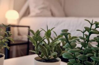 Marianne Joli T3 Central, Climatisé avec Parking - 3