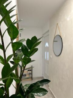Apartman Gold LUX - Surčin - 6