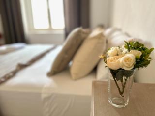 GATU Casa Solera, un lugar único, "preferente para mayores de 25 años y familias " - El Puerto de Santa María - 1