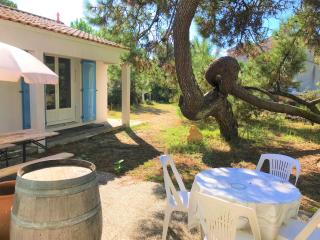 Entre les pins et l'océan - La Tranche-sur-Mer - 6