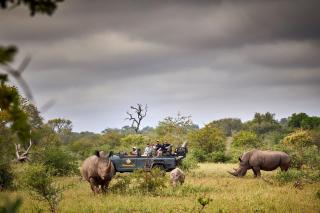 Motswari African Retreat & Walking Safaris by NEWMARK - Timbavati Game Reserve - 9
