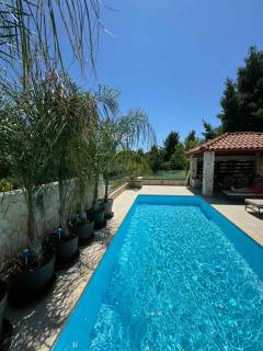 Sunny Seaside Villa-90 m from beach - Kriopigi - 5