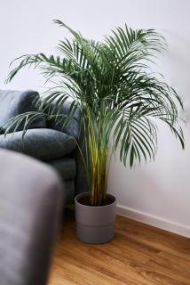 Mozirje Comfort Apartments - 4