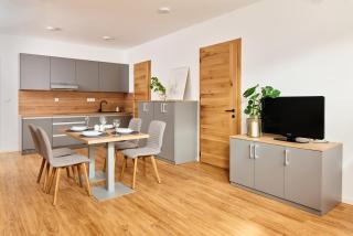 Mozirje Comfort Apartments - 3