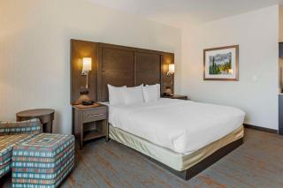 Comfort Inn & Suites Brighton Denver NE Medical Center - Brighton - 3