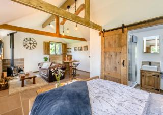 Place Farm Cabin - Okehampton - 9