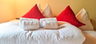 Bussalp Apartment - Aare Jungfrau AG - Grindelwald - 9