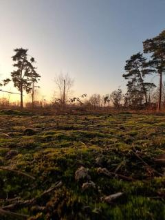 Belle Gite - rust en natuur - Geel - 8