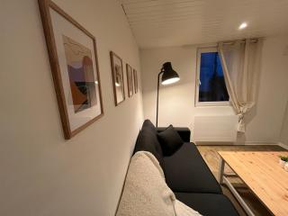 Le Triplex de Wettolsheim - Wettolsheim - 3