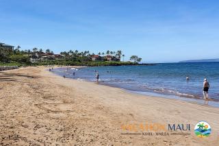 New Listing! - Wailea Ekahi 39E - Luxurious Ocean View Condo, Split AC! - Wailea - 4