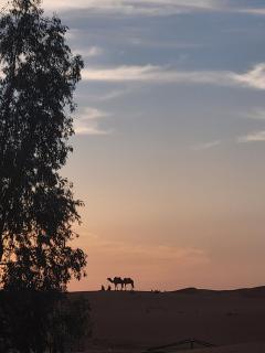Erg Berber Tents - 7