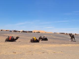 Erg Berber Tents - 6